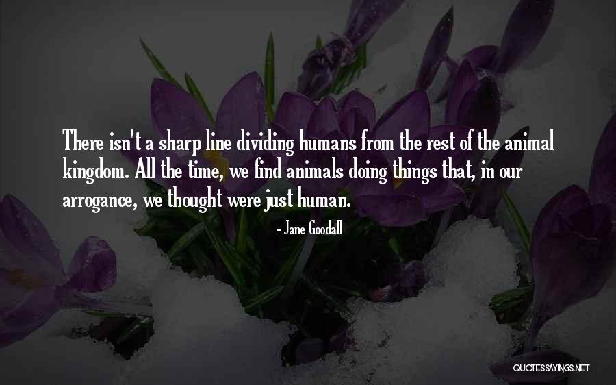 Jane Goodall Quotes 929539