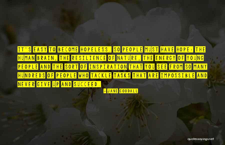 Jane Goodall Quotes 949618 Jane Goodall Quotes 949618