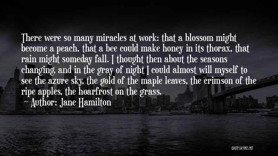 Jane Hamilton Quotes 1302628