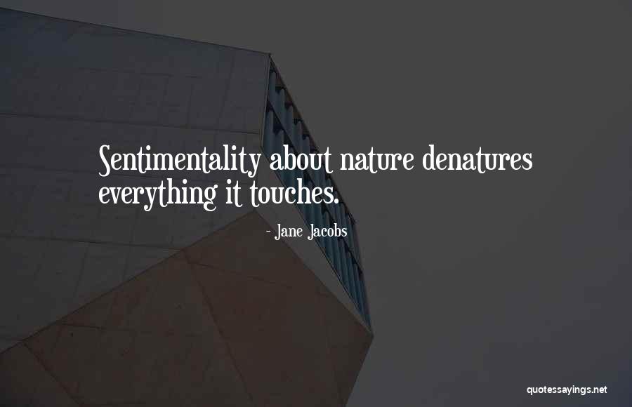 Jane Jacobs Quotes 1251813 Jane Jacobs Quotes 1251813