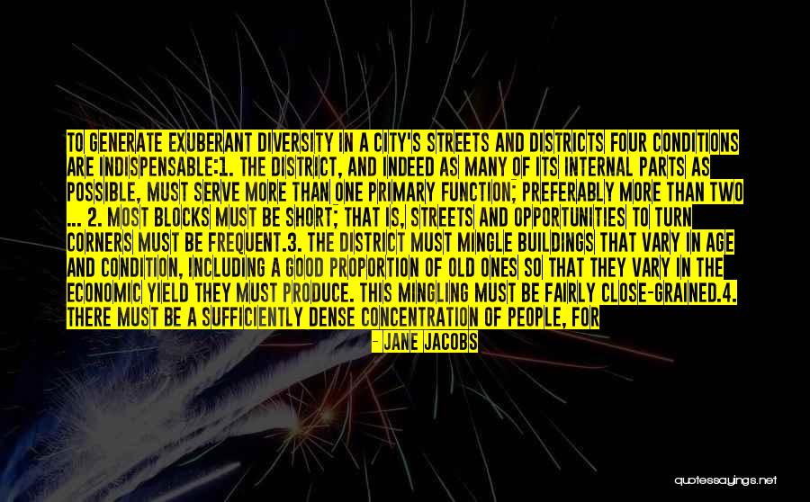 Jane Jacobs Quotes 1340960 Jane Jacobs Quotes 1340960