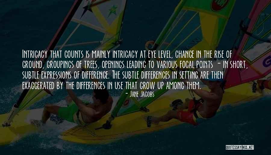 Jane Jacobs Quotes 1943655 Jane Jacobs Quotes 1943655