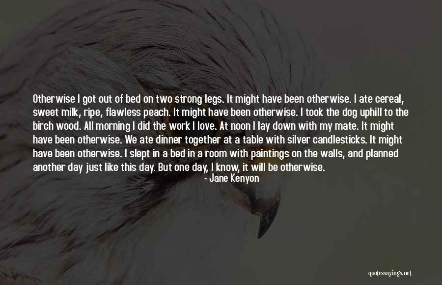 Jane Kenyon Quotes 630869 Jane Kenyon Quotes 630869