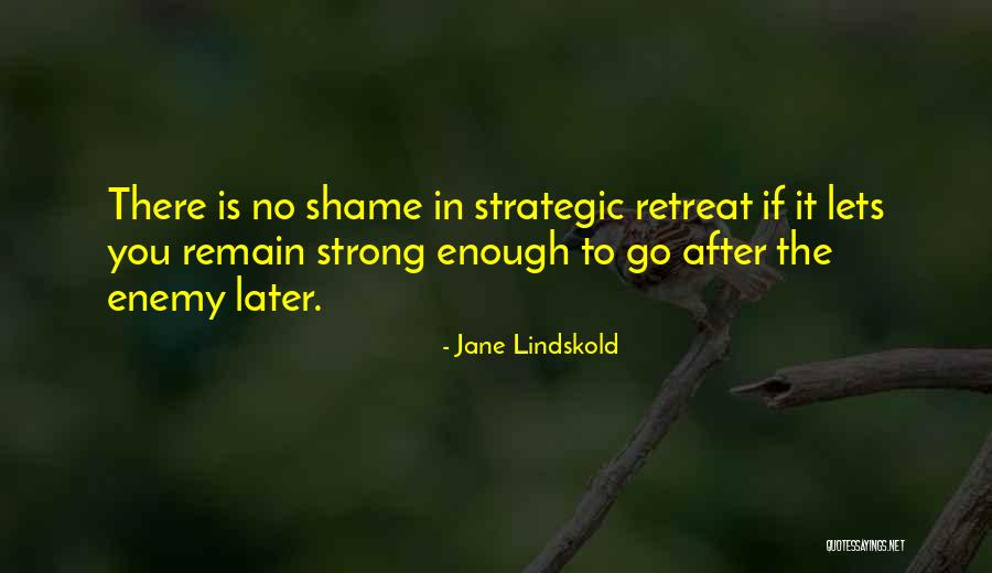 Jane Lindskold Quotes 959846