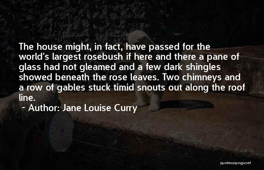 Jane Louise Curry Quotes 326772