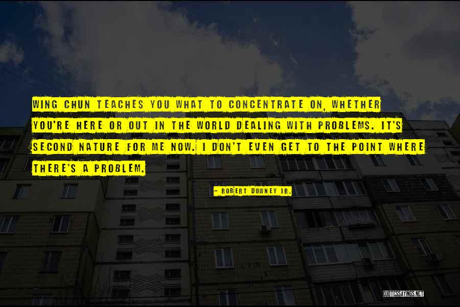 Jane Rizzoli Quotes By Robert Downey Jr. Jane Rizzoli Quotes By Robert Downey Jr.