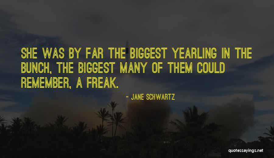 Jane Schwartz Quotes 1879783