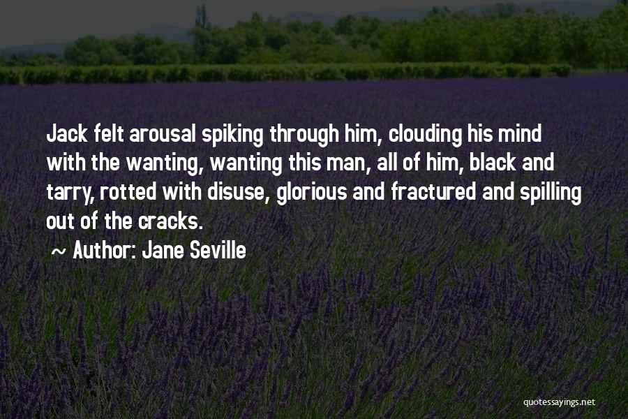Jane Seville Quotes 1881109