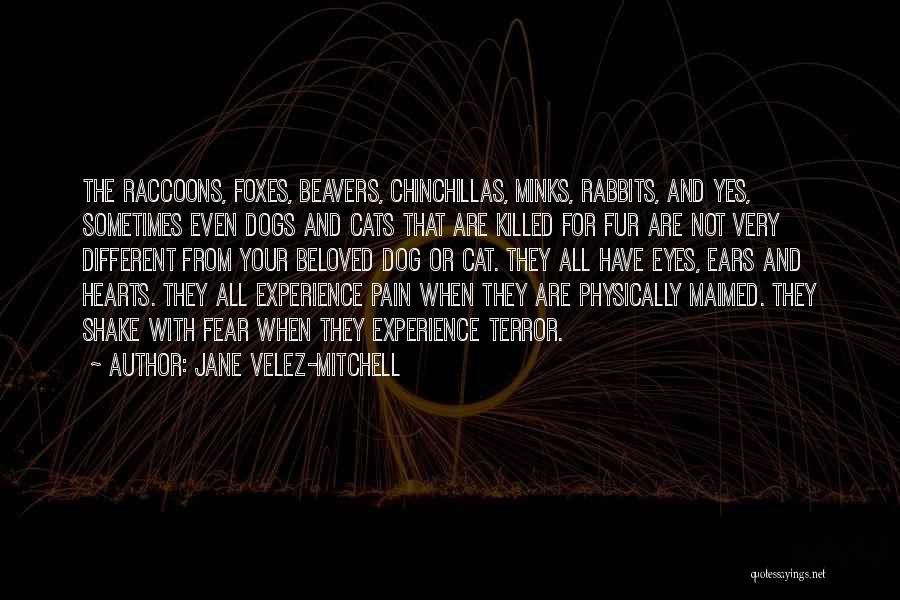 Jane Velez-Mitchell Quotes 1316085