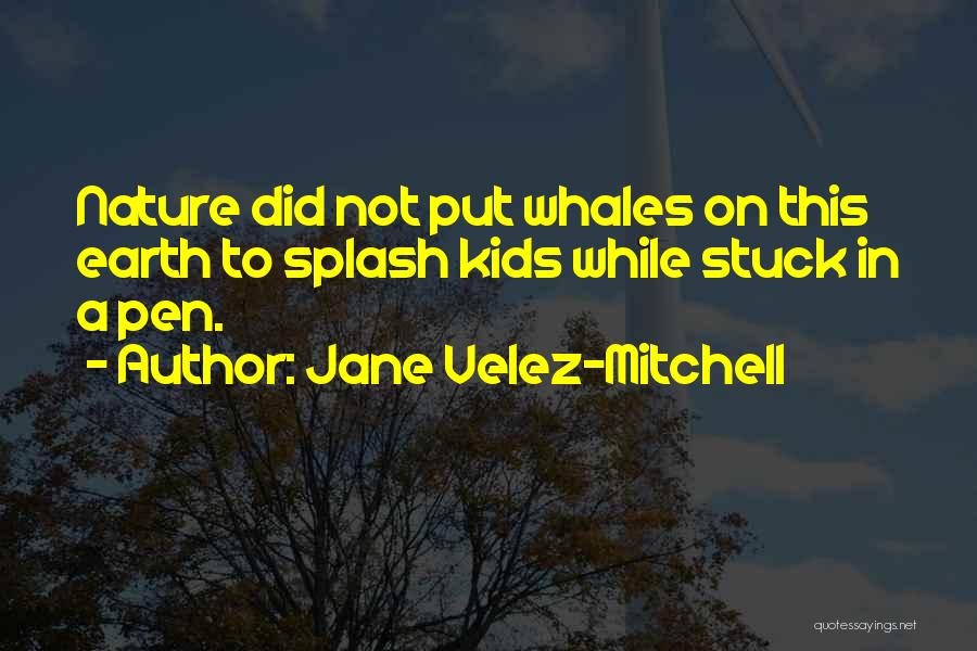Jane Velez-Mitchell Quotes 140642