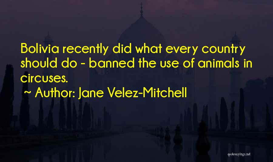 Jane Velez-Mitchell Quotes 1630136