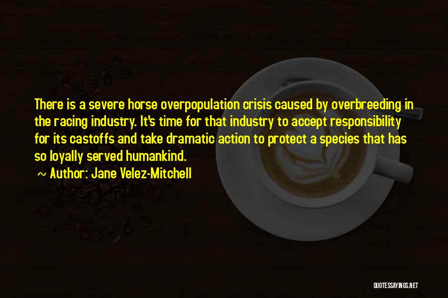 Jane Velez-Mitchell Quotes 1760578