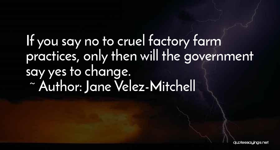 Jane Velez-Mitchell Quotes 2067563