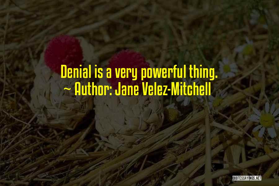 Jane Velez-Mitchell Quotes 2181046