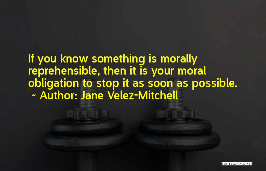 Jane Velez-Mitchell Quotes 354692