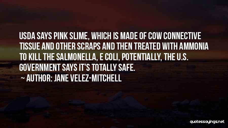 Jane Velez-Mitchell Quotes 358747