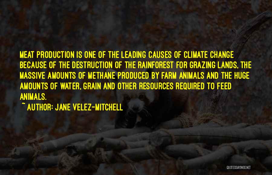 Jane Velez-Mitchell Quotes 461686