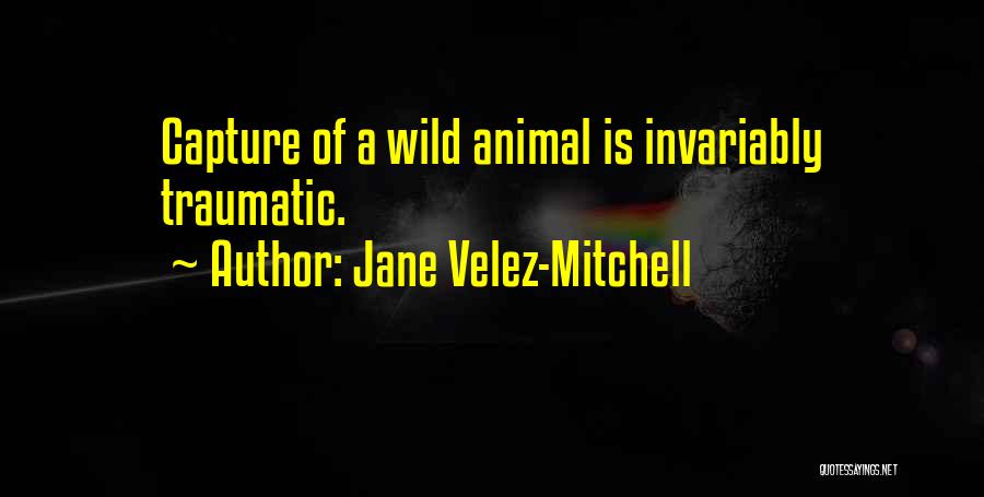 Jane Velez-Mitchell Quotes 518770