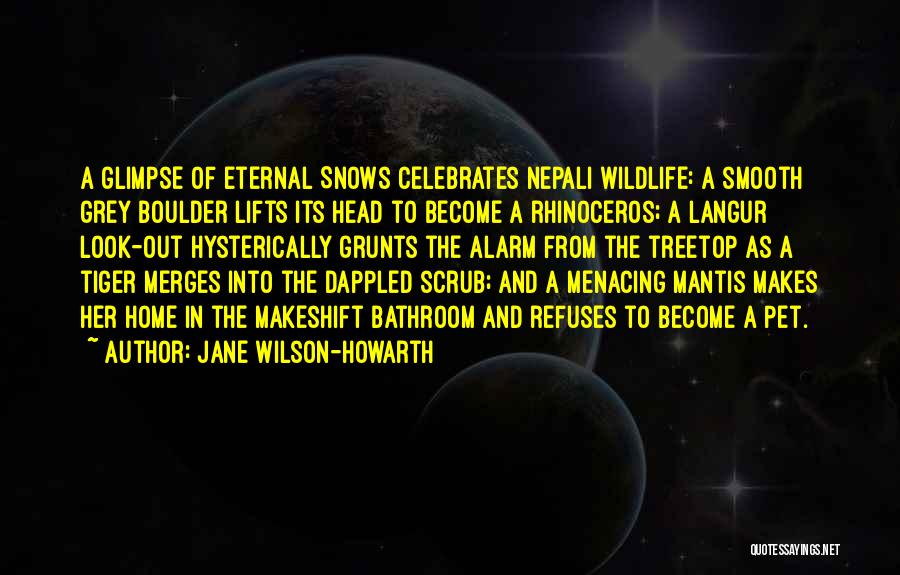 Jane Wilson-Howarth Quotes 1744354