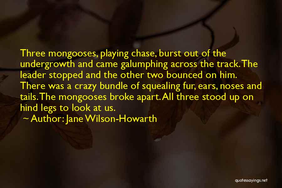 Jane Wilson-Howarth Quotes 2209420