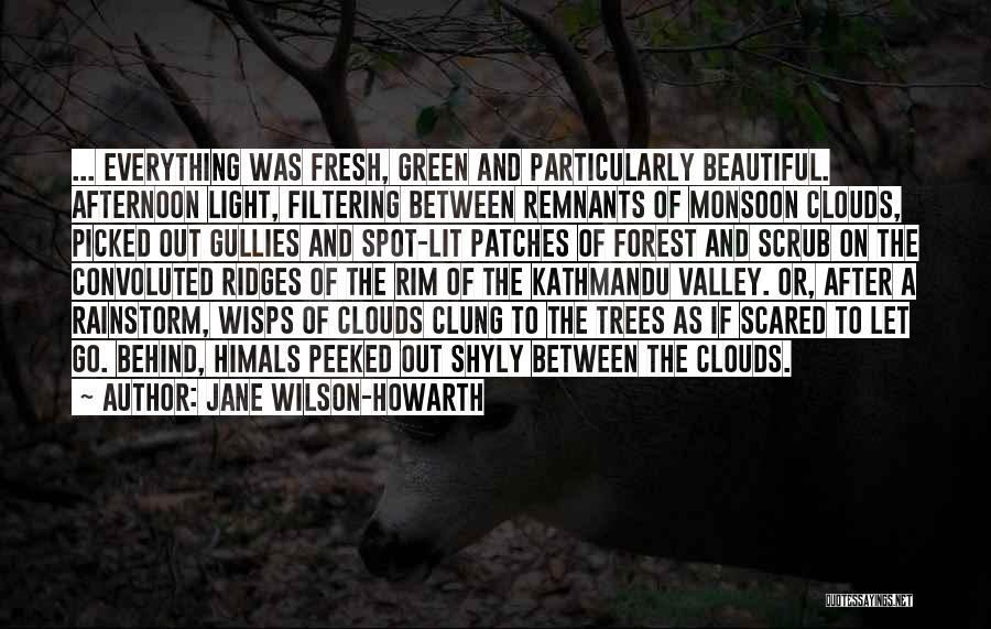 Jane Wilson-Howarth Quotes 535273