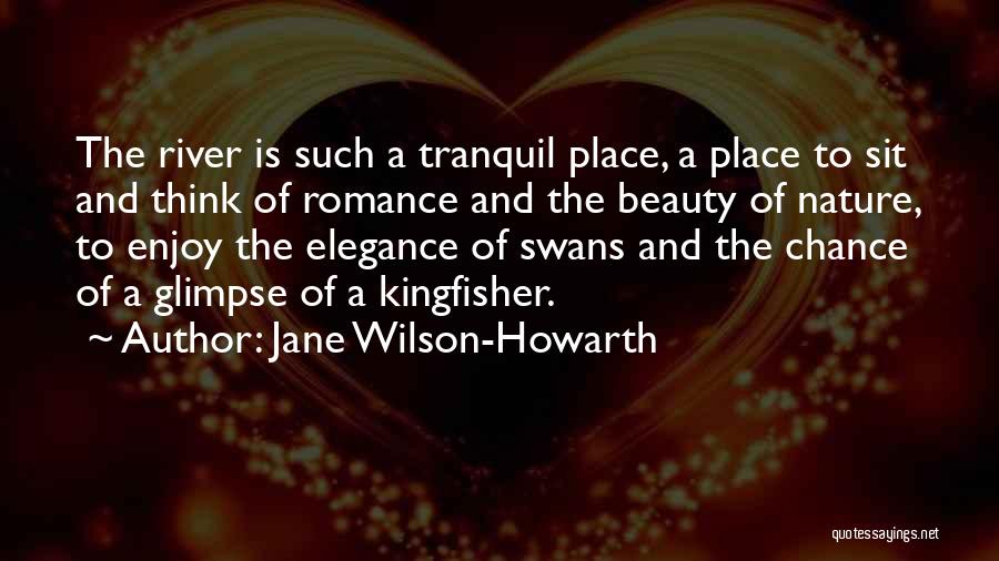 Jane Wilson-Howarth Quotes 978963