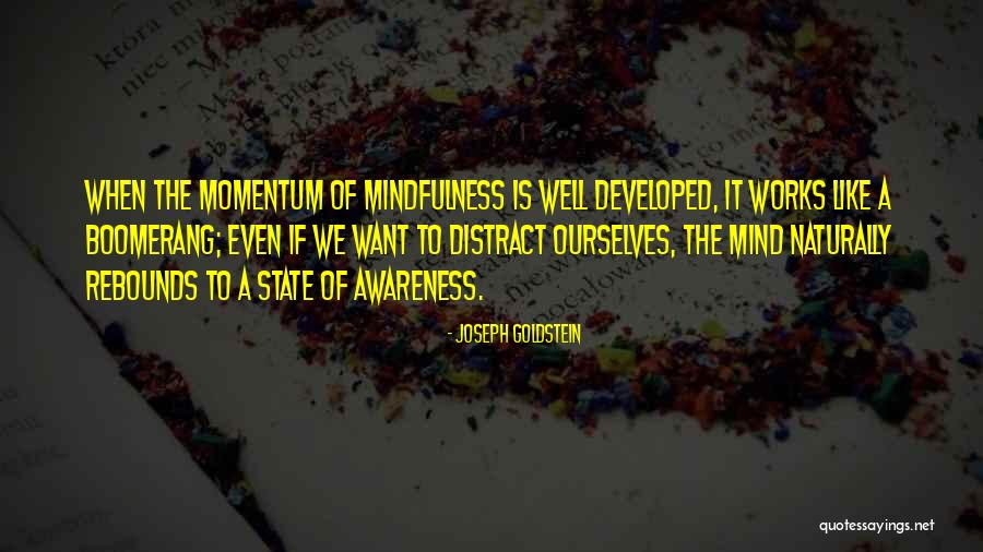 Janelle Ginestra Quotes By Joseph Goldstein Janelle Ginestra Quotes By Joseph Goldstein