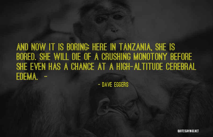 Janemena Quotes By Dave Eggers Janemena Quotes By Dave Eggers
