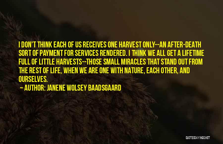 Janene Wolsey Baadsgaard Quotes 2265406
