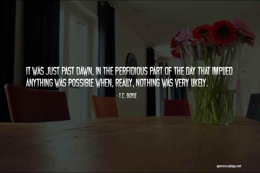 Janerypetbeds Quotes By T.C. Boyle Janerypetbeds Quotes By T.C. Boyle