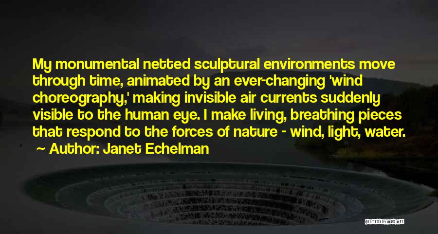 Janet Echelman Quotes 1068578