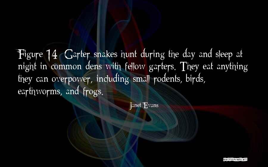 Janet Evans Quotes 343093