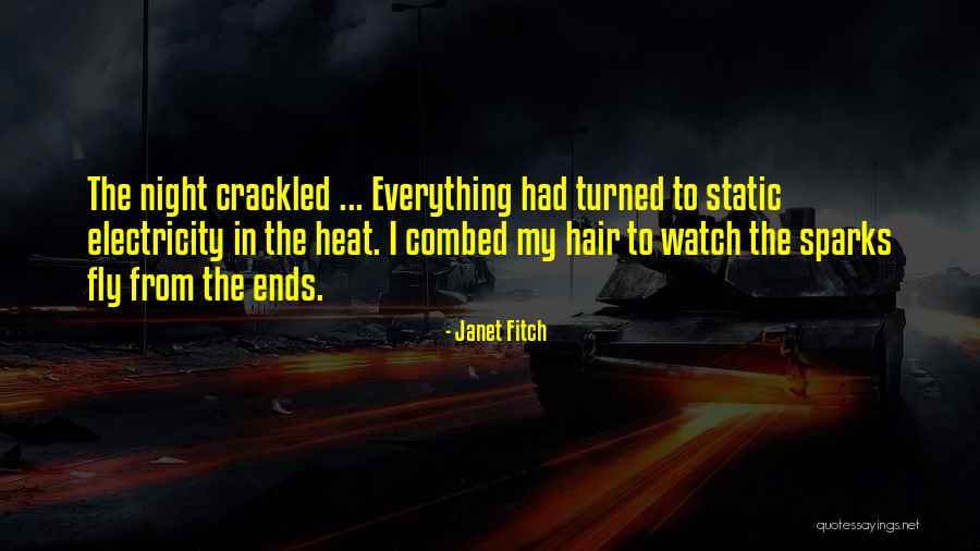 Janet Fitch Quotes 2112807