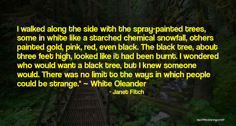 Janet Fitch Quotes 383245