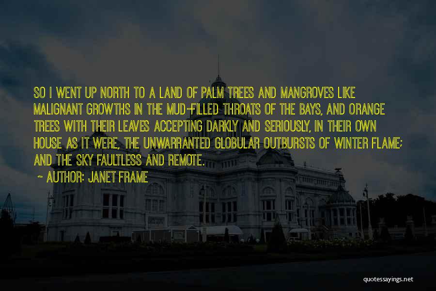 Janet Frame Quotes 1736574