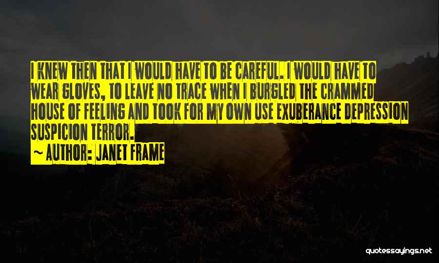 Janet Frame Quotes 2115032