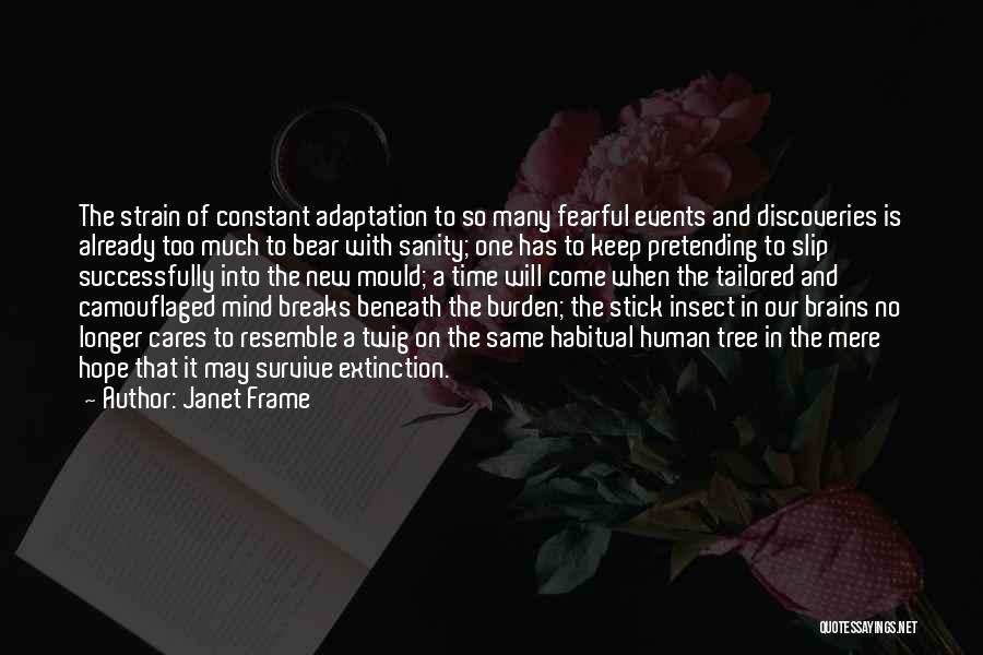 Janet Frame Quotes 764153