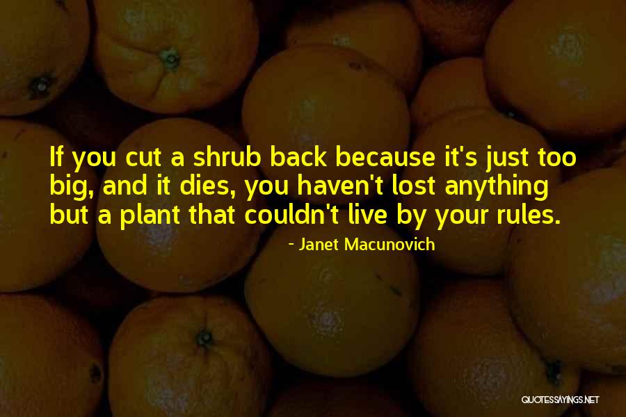 Janet Macunovich Quotes 994242