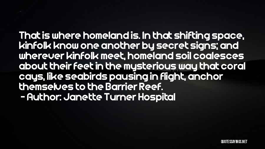 Janette Turner Hospital Quotes 1591936