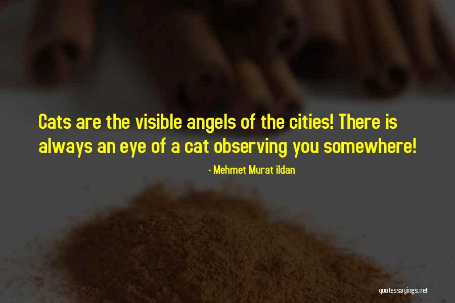 Janeys 2500 Quotes By Mehmet Murat Ildan Janeys 2500 Quotes By Mehmet Murat Ildan
