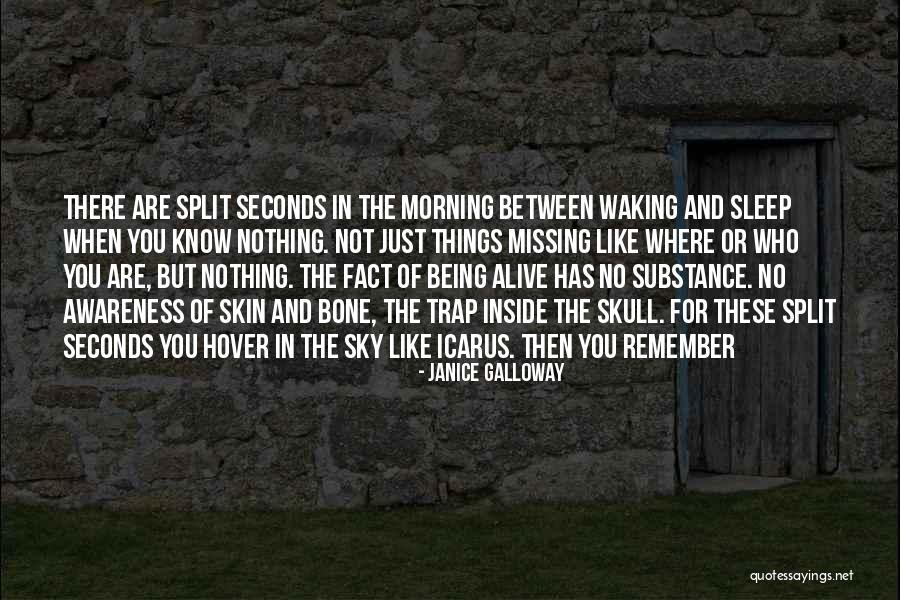 Janice Galloway Quotes 1354073