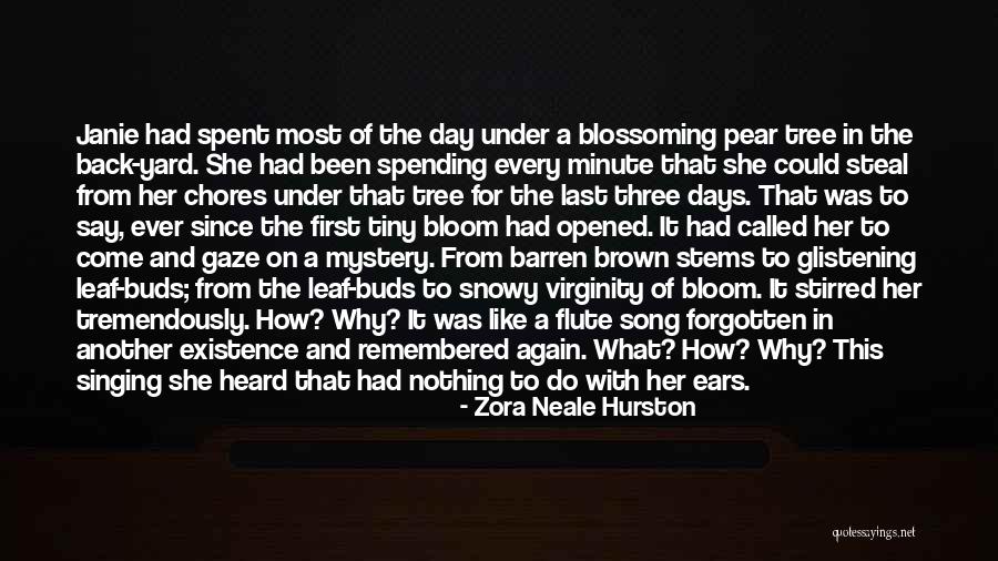 Janie Quotes By Zora Neale Hurston Janie Quotes By Zora Neale Hurston