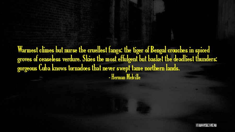 Janileigh Quotes By Herman Melville Janileigh Quotes By Herman Melville