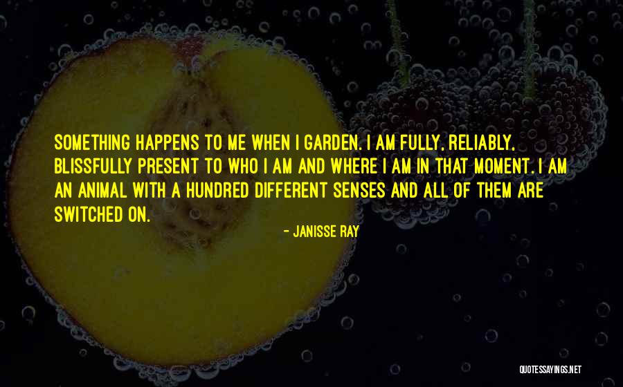 Janisse Ray Quotes 907384 Janisse Ray Quotes 907384