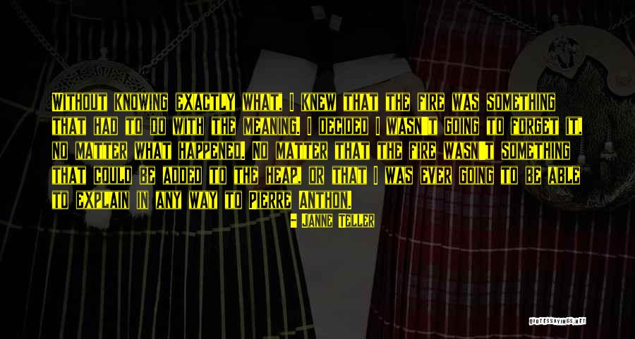 Janne Quotes By Janne Teller Janne Quotes By Janne Teller