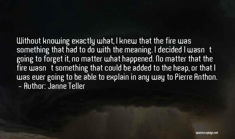 Janne Teller Quotes 564361