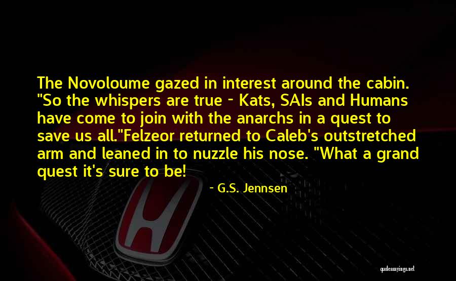 Jannoun Quotes By G.S. Jennsen