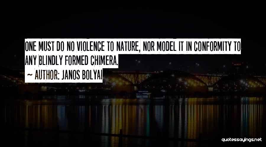 Janos Bolyai Quotes 673320