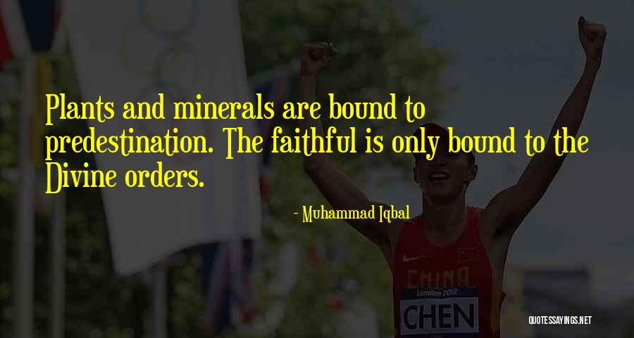 Janosikova Basta Quotes By Muhammad Iqbal Janosikova Basta Quotes By Muhammad Iqbal