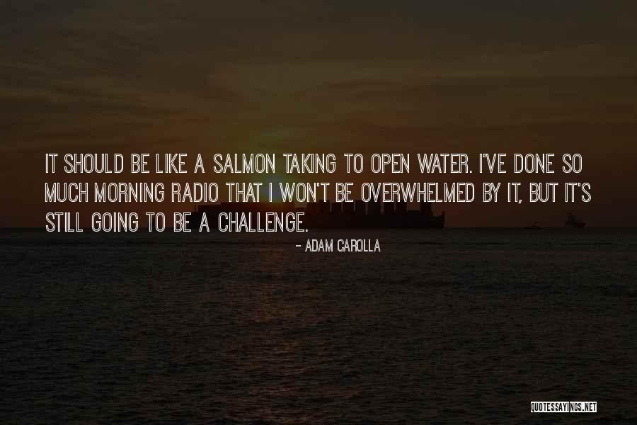 Janowski Greenhouse Quotes By Adam Carolla Janowski Greenhouse Quotes By Adam Carolla
